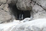 DSC_9150.JPG